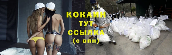 круглые Ельня