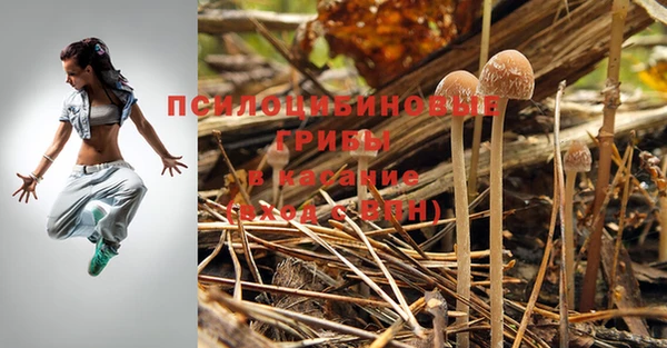 МДМА Елизово