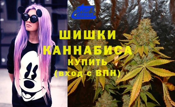 2c-b Дмитров