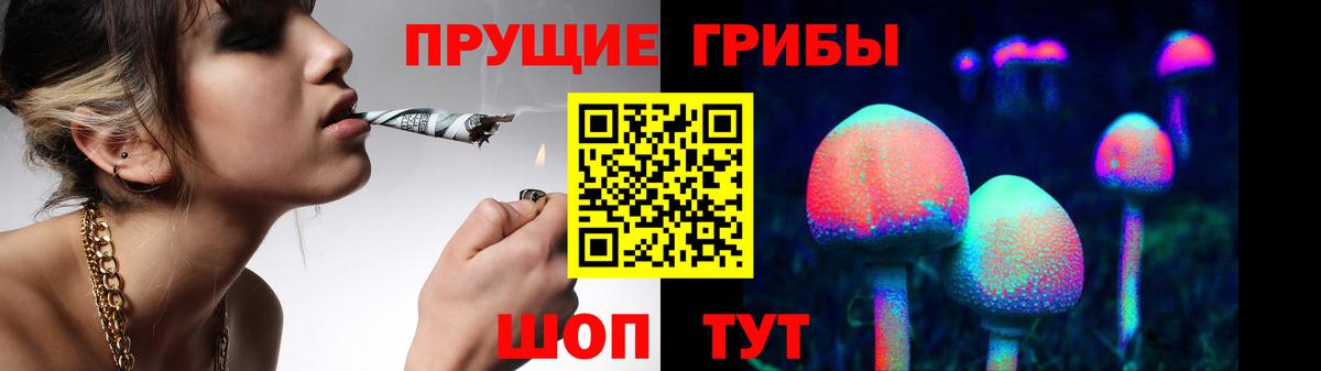 Псилоцибиновые грибы прущие грибы  Вход с VPN  наркота  Владикавказ 