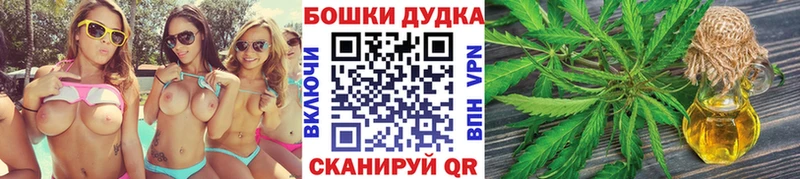 Бошки марихуана OG Kush  магазин продажи наркотиков  Владикавказ 